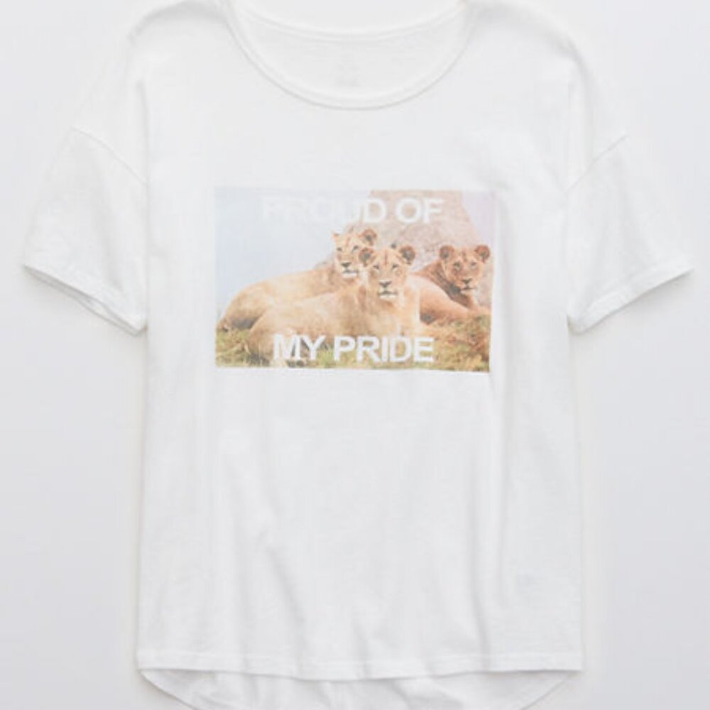 NWT Aerie Offline Proud Of My Pride Unstoppable Oversized T-Shirt White Sm